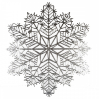 Aulica Placemat Snowflake