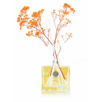 Ashleigh & Burwood 'Orange Blossom & Mandarin' Diffusor - 150 ml